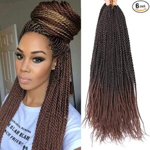 Senegalese Twist Hair